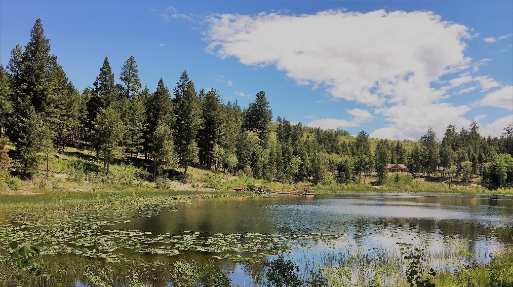 Agur Lake Camp BC's only barrier free wilderness campground - Wishart ...